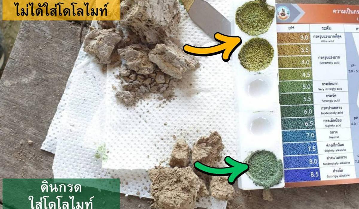 ภาพประกอบที่ 1