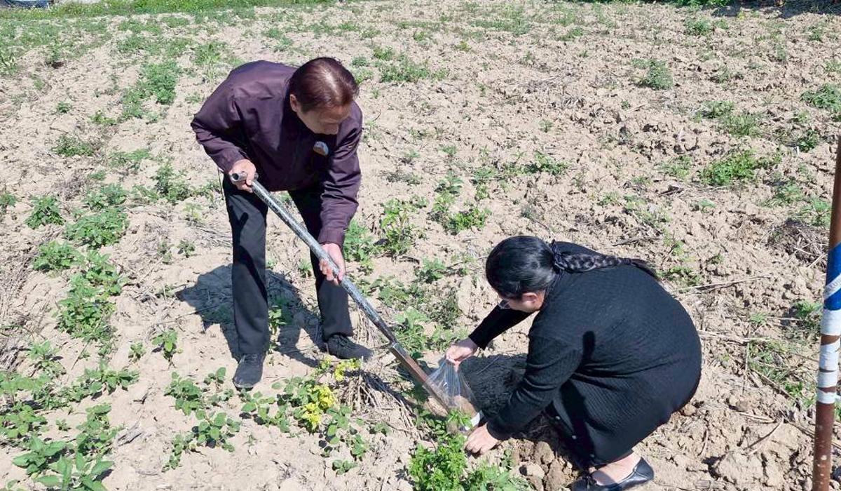 ภาพประกอบที่ 4