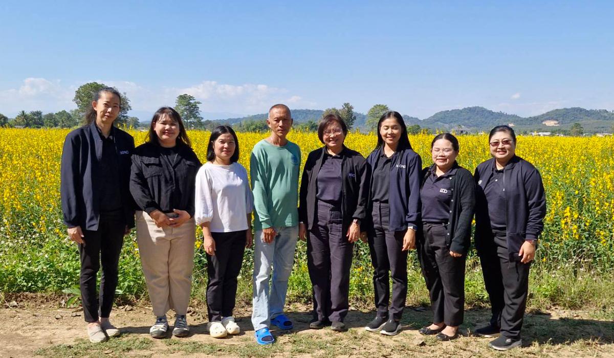 ภาพประกอบที่ 7