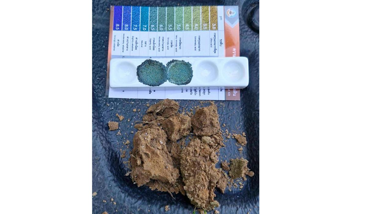 ภาพประกอบที่ 8