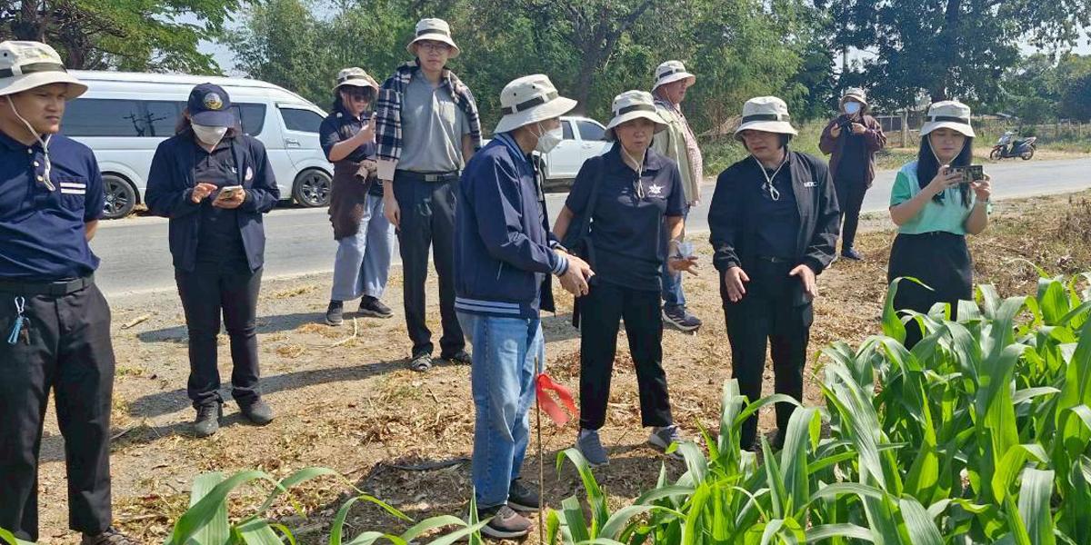 ภาพประกอบที่ 6