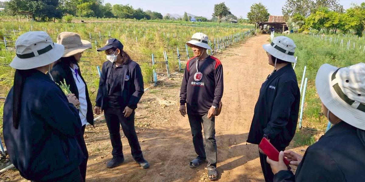 ภาพประกอบที่ 4