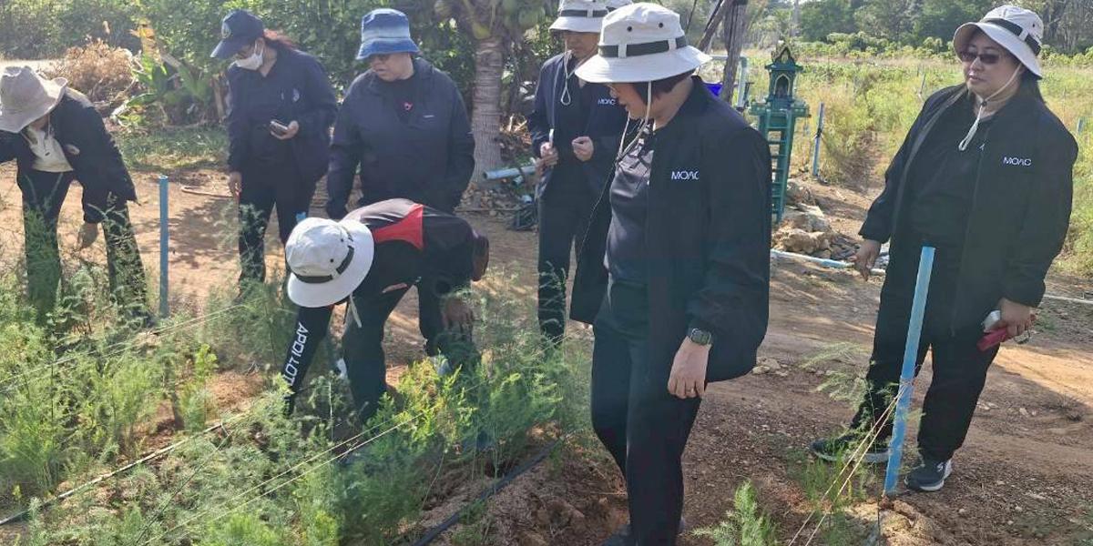 ภาพประกอบที่ 5