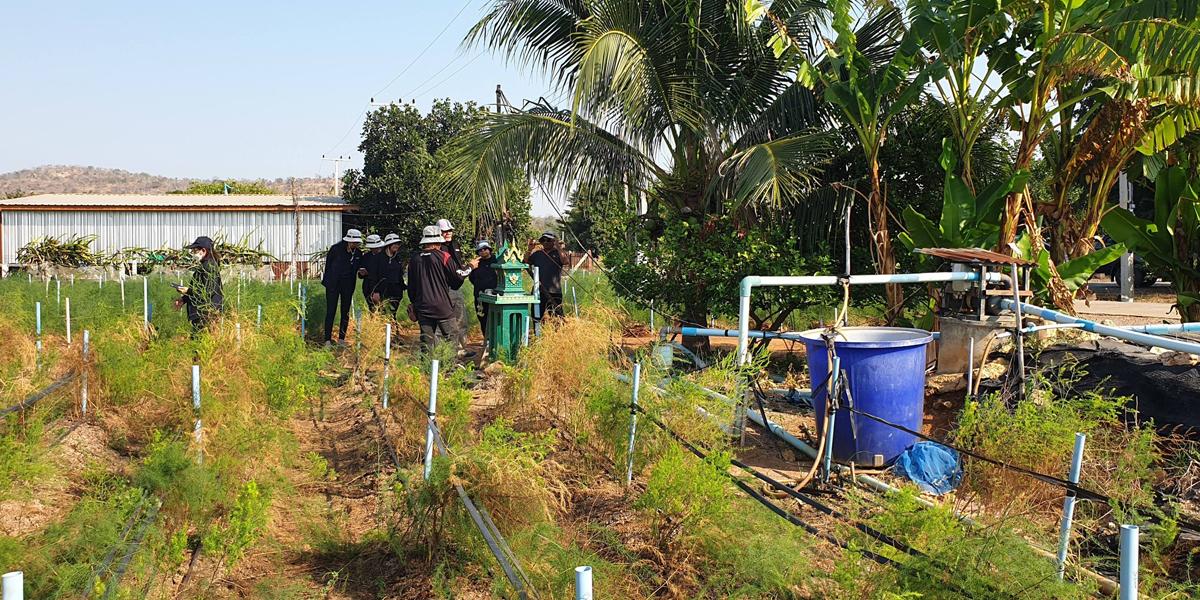 ภาพประกอบที่ 6