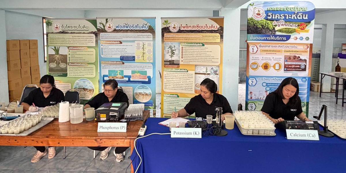 ภาพประกอบที่ 6