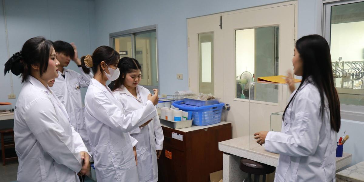 ภาพประกอบที่ 7