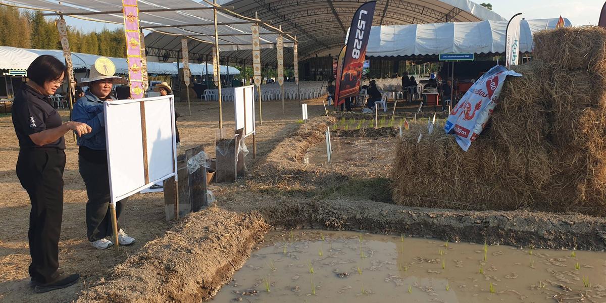 ภาพประกอบที่ 8