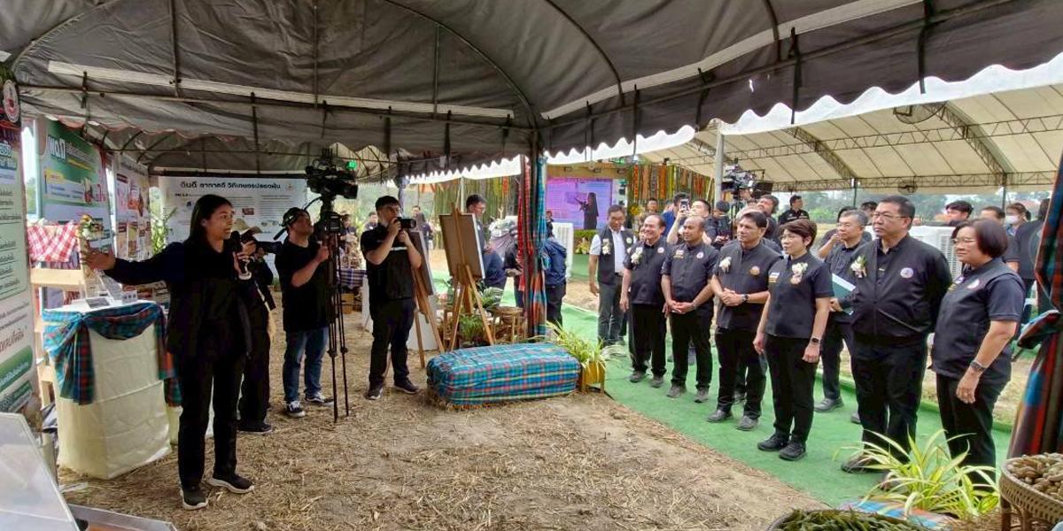 ภาพประกอบที่ 3