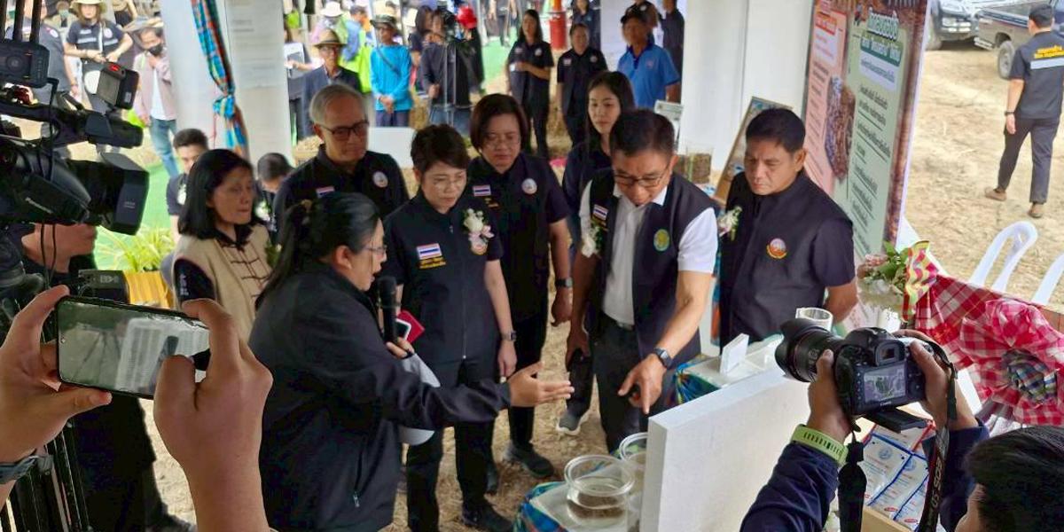 ภาพประกอบที่ 5