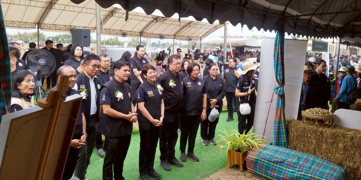 ภาพประกอบที่ 7