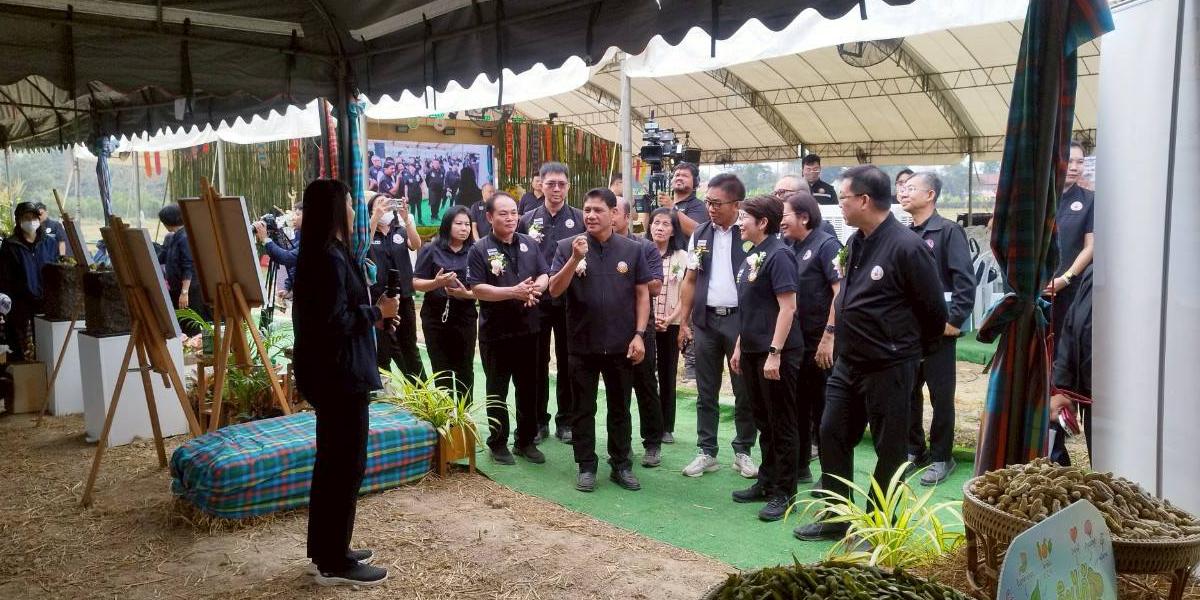 ภาพประกอบที่ 8