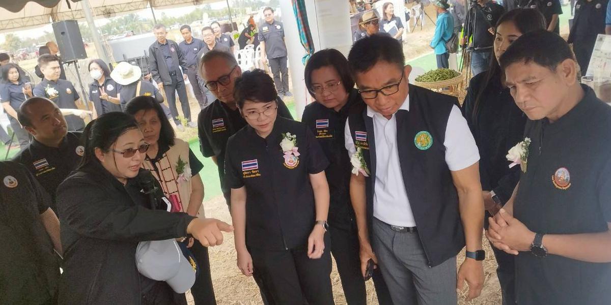 ภาพประกอบที่ 9