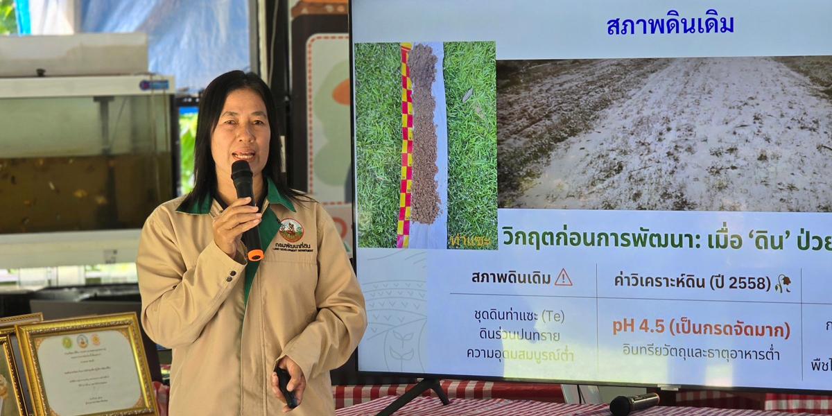 ภาพประกอบที่ 3