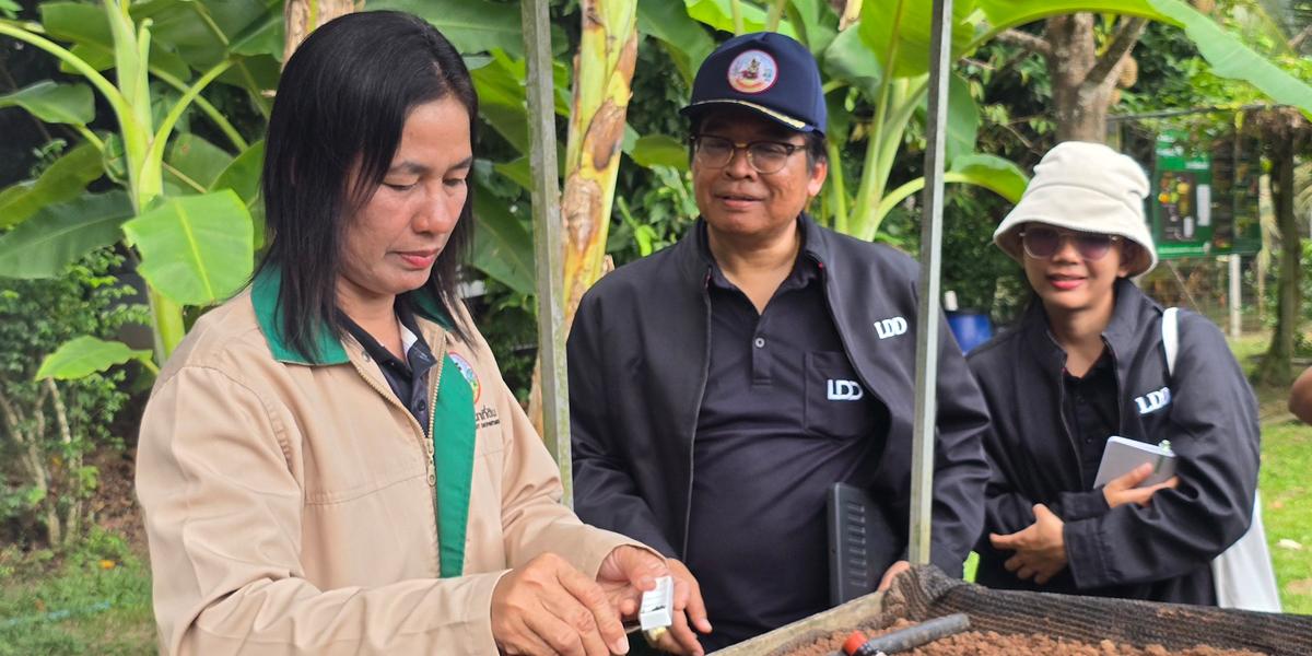 ภาพประกอบที่ 6