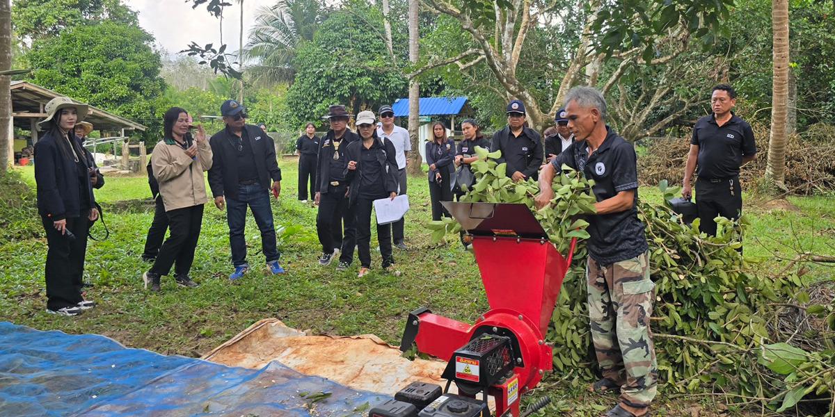 ภาพประกอบที่ 8