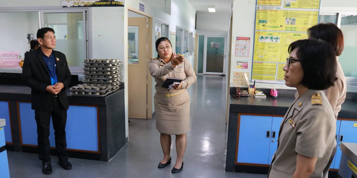 ภาพประกอบที่ 7