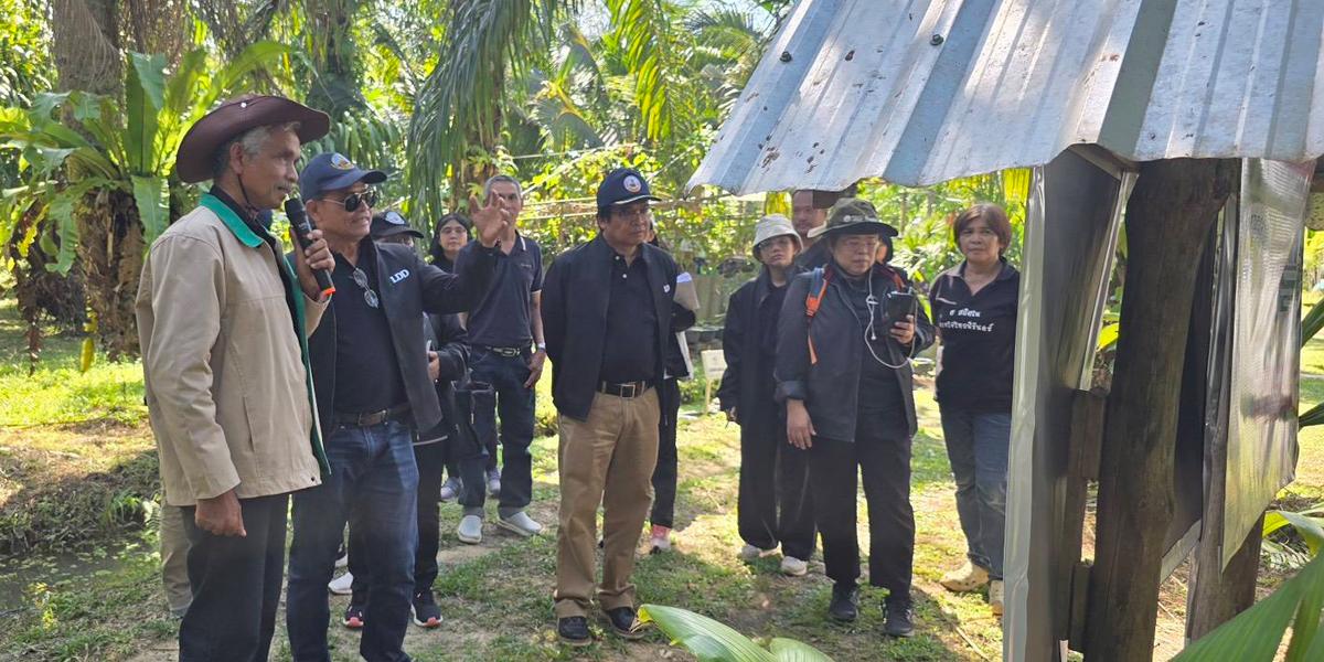 ภาพประกอบที่ 3