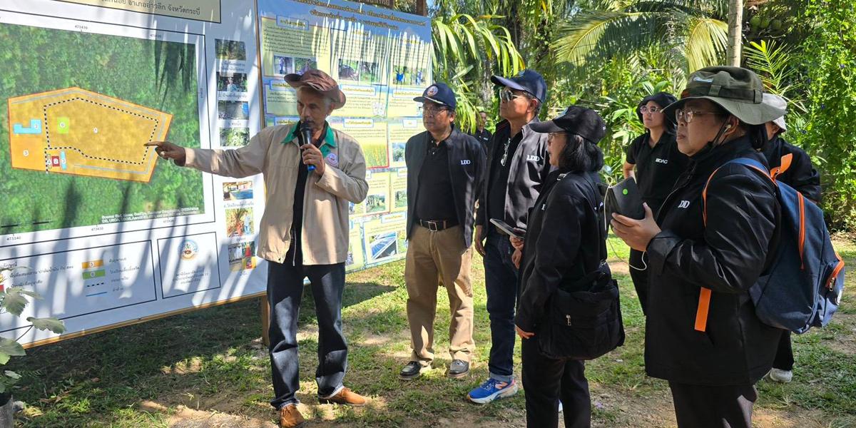 ภาพประกอบที่ 5