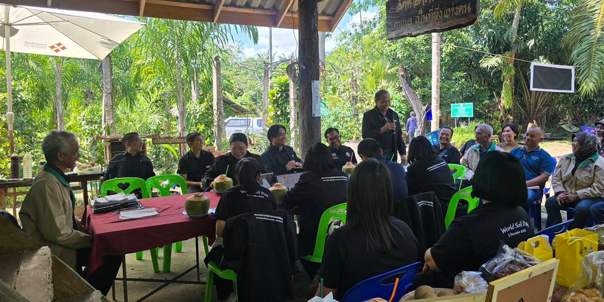 ภาพประกอบที่ 11