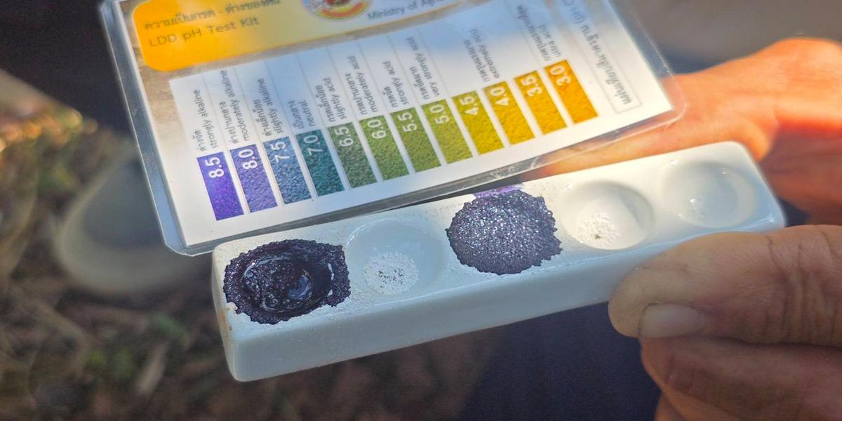 ภาพประกอบที่ 2