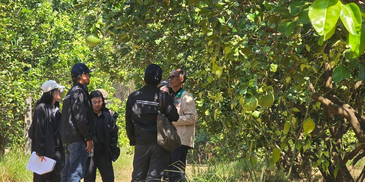 ภาพประกอบที่ 9