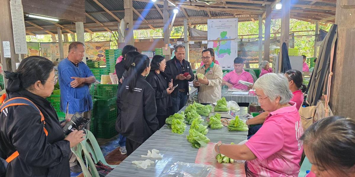 ภาพประกอบที่ 6