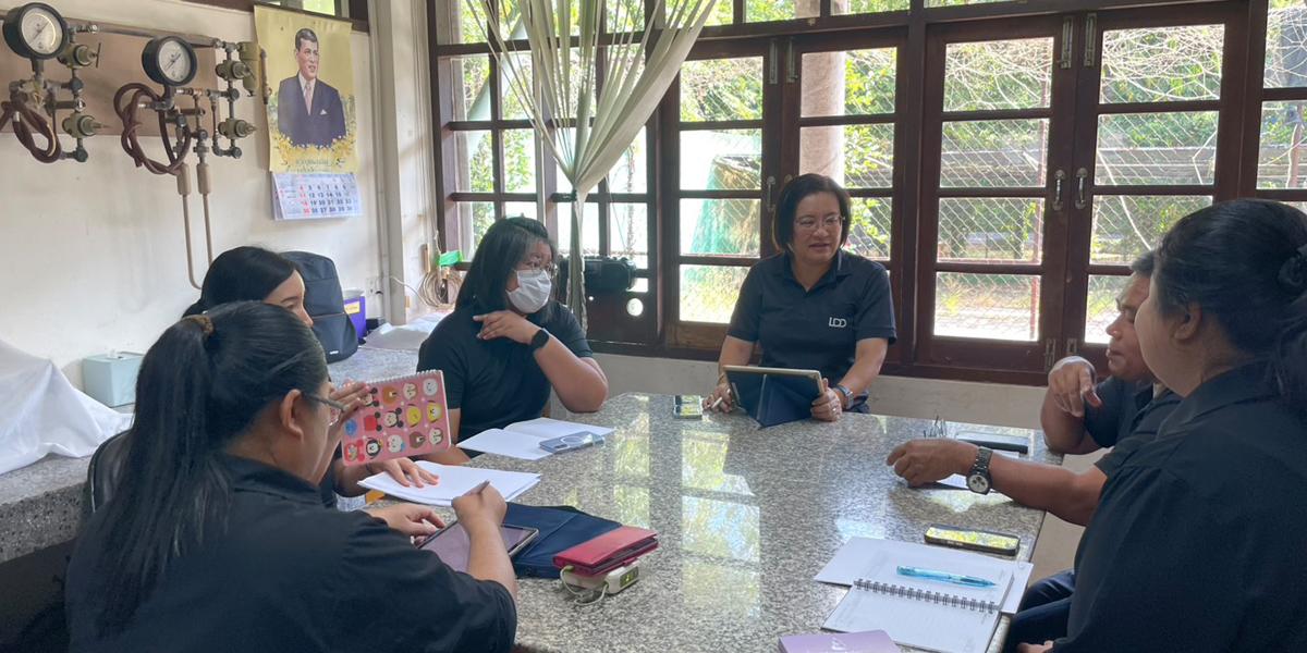 ภาพประกอบที่ 6