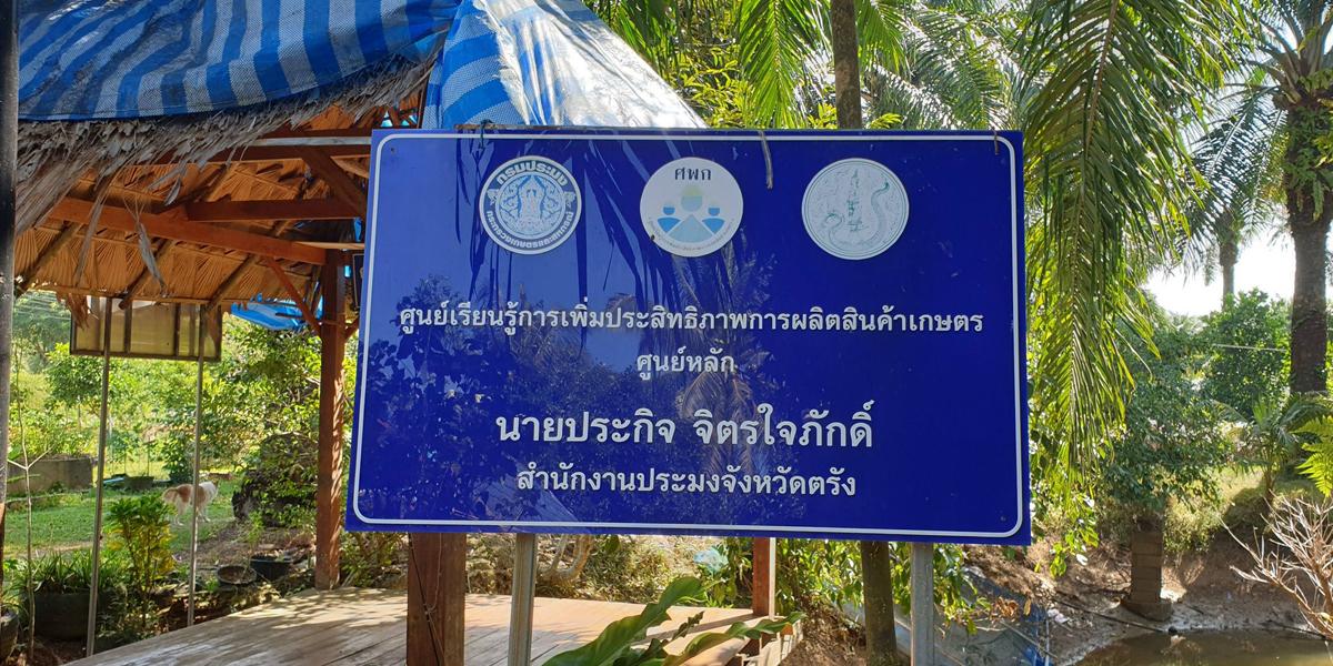 ภาพประกอบที่ 8