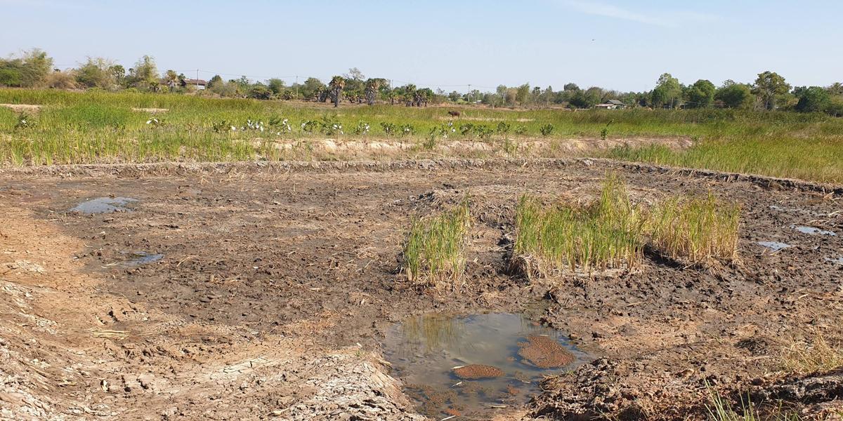 ภาพประกอบที่ 6