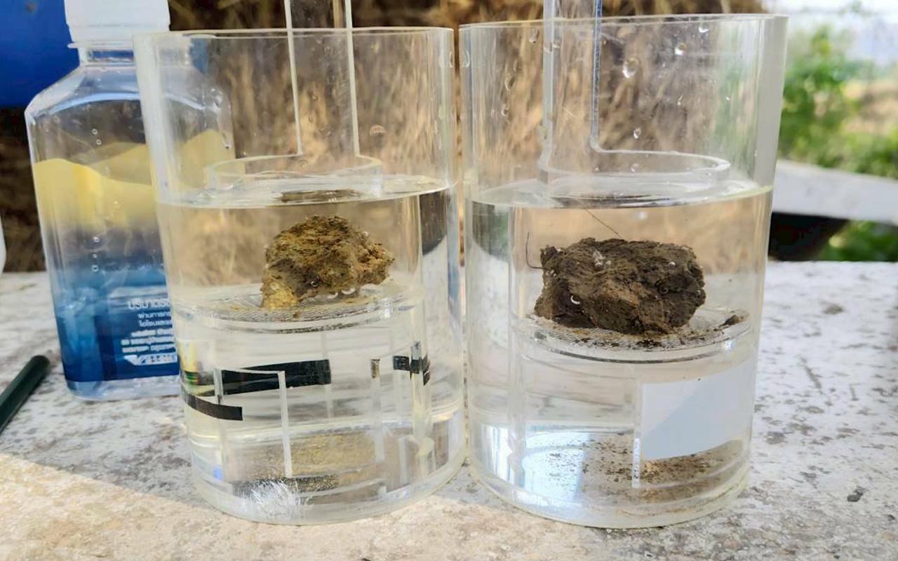 ภาพประกอบที่ 2