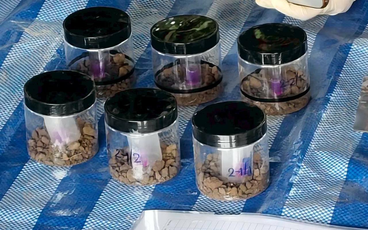 ภาพประกอบที่ 7