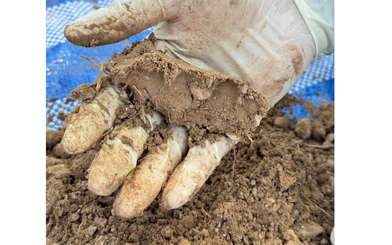 ภาพประกอบที่ 6