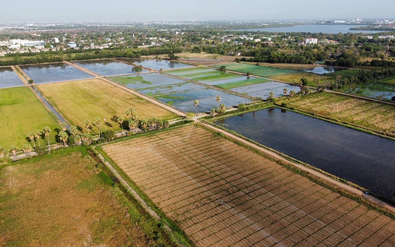 ภาพประกอบที่ 8