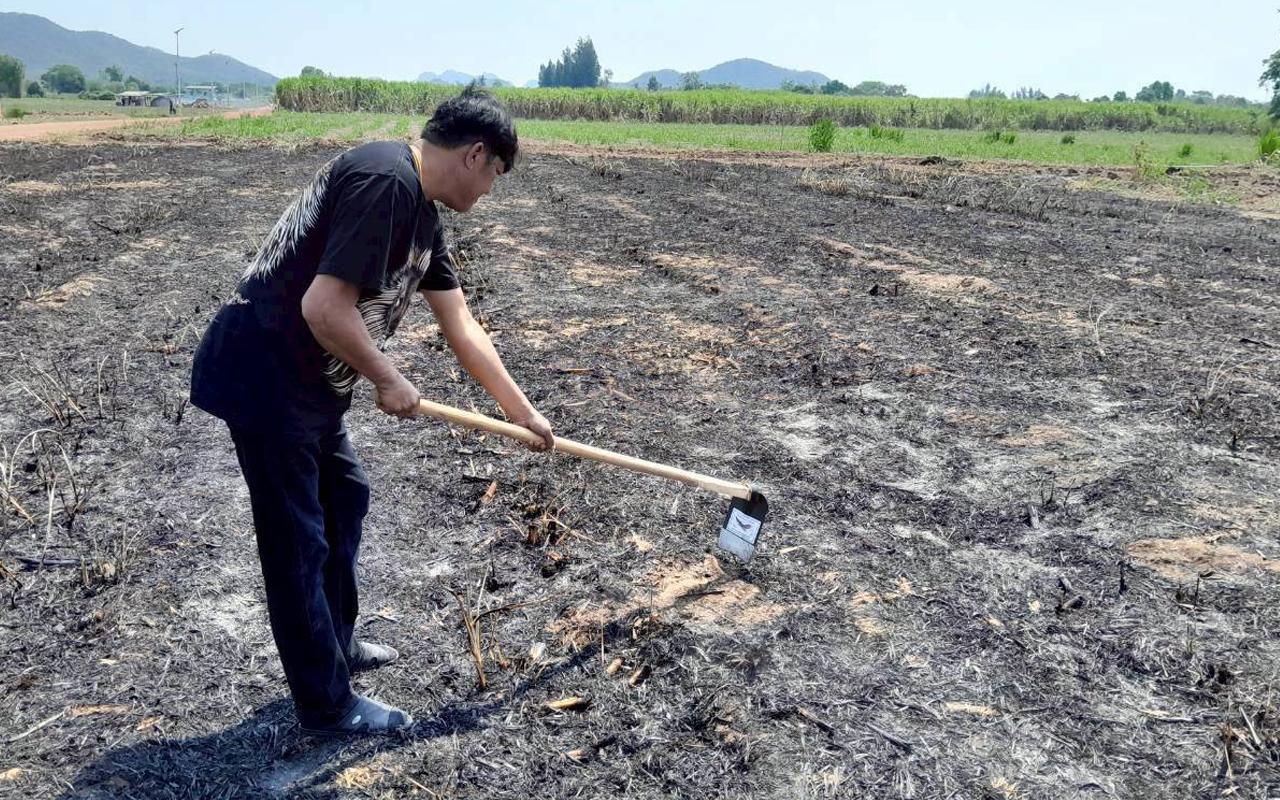 ภาพประกอบที่ 1