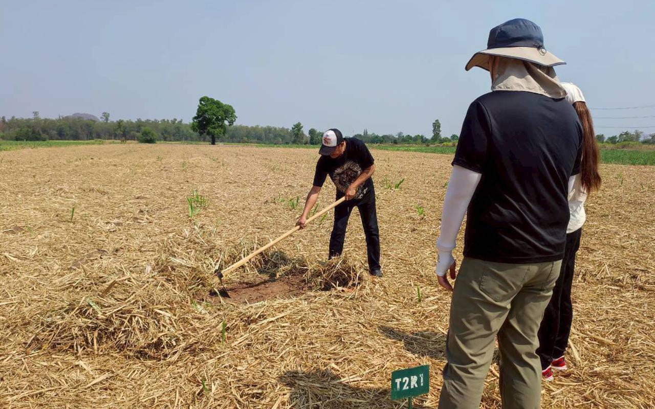 ภาพประกอบที่ 5