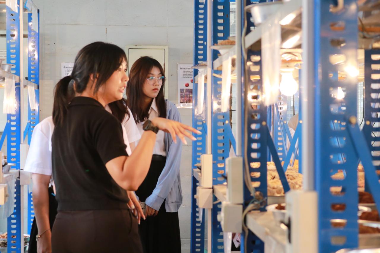 ภาพประกอบที่ 9