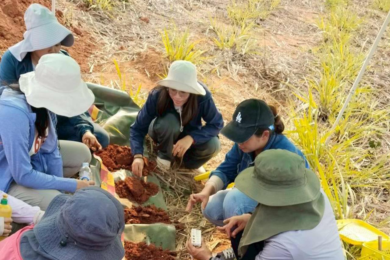 ภาพประกอบที่ 3