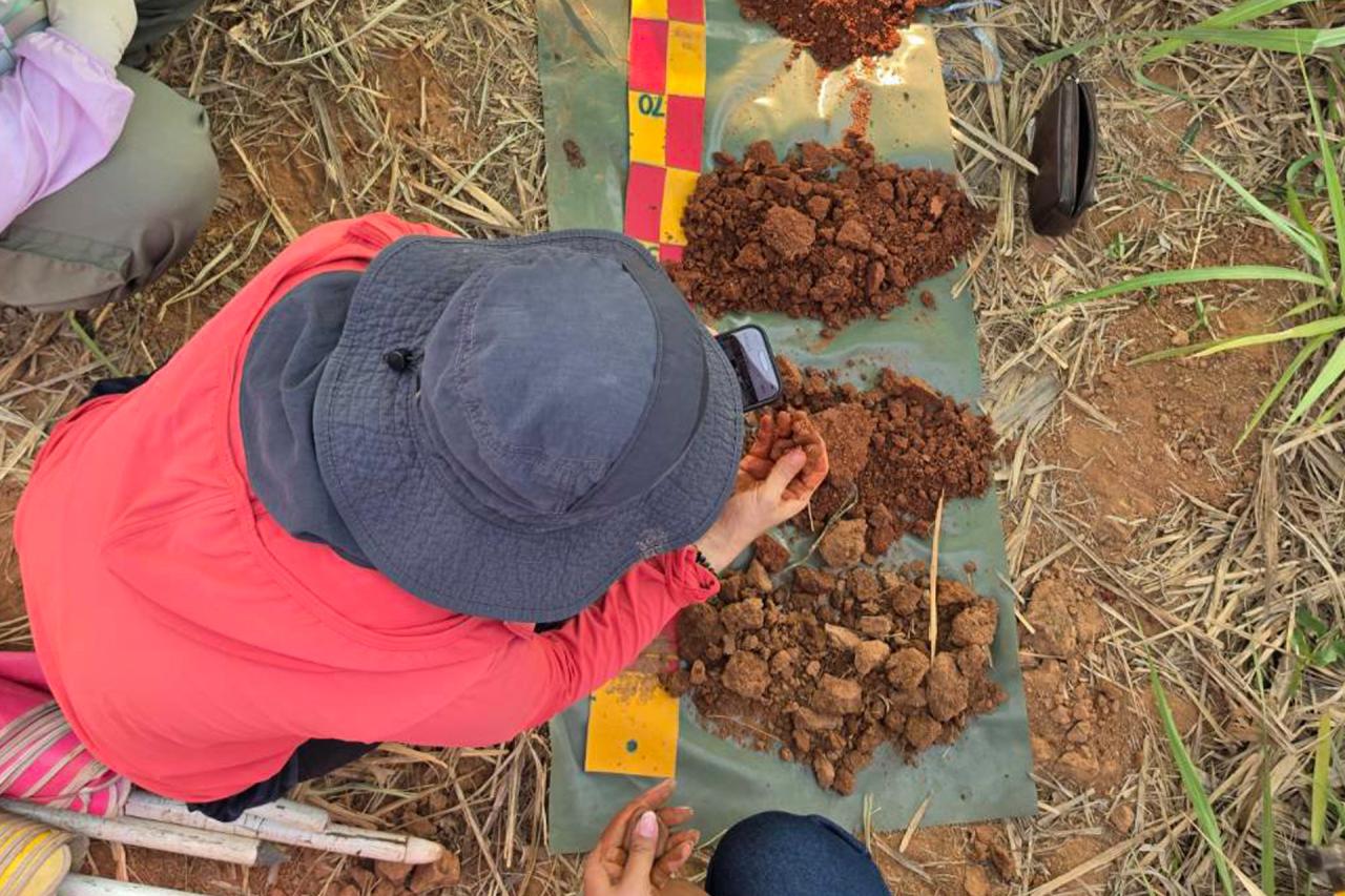 ภาพประกอบที่ 5