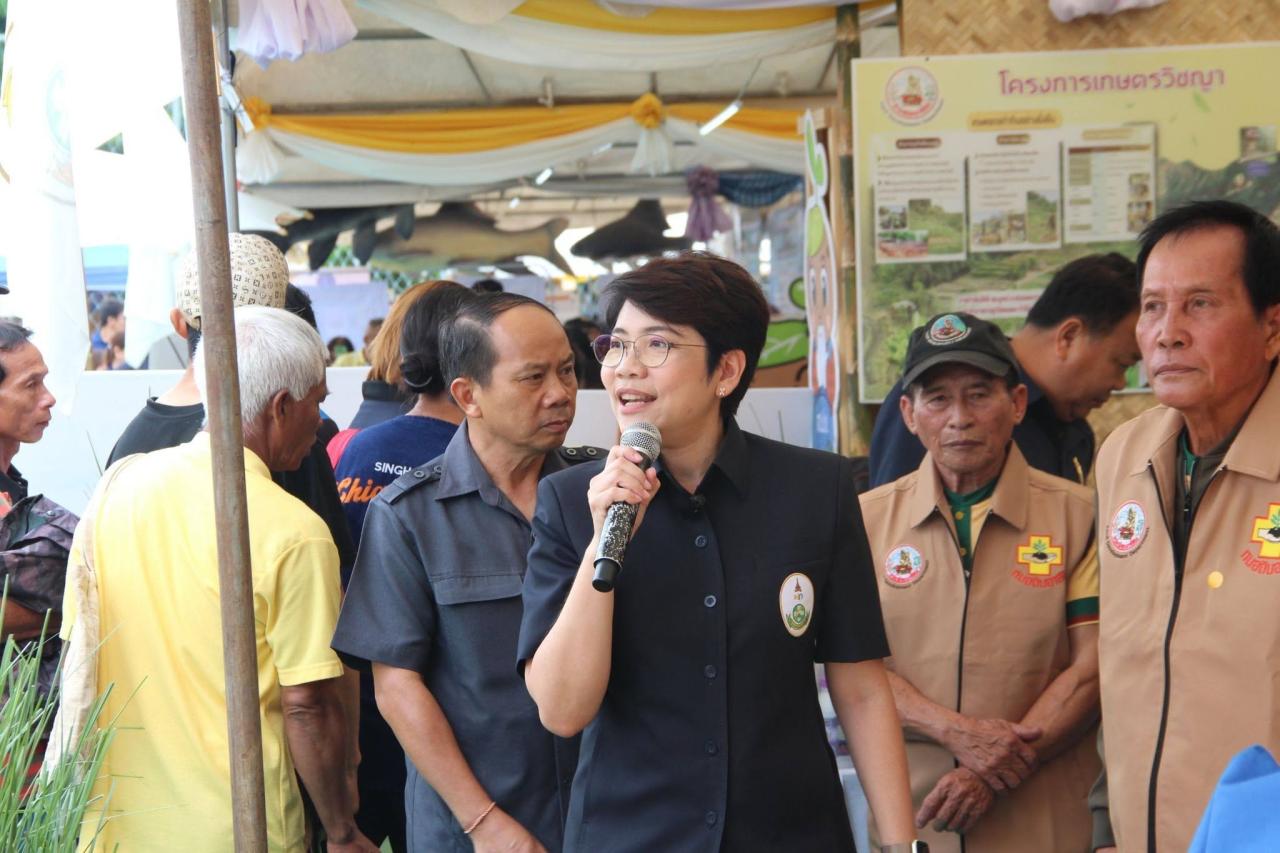 ภาพประกอบที่ 8
