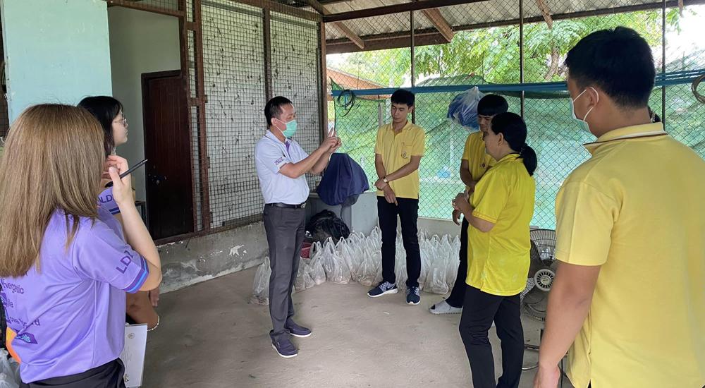 ภาพประกอบที่ 8