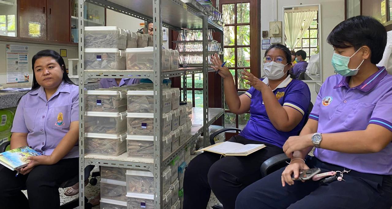 ภาพประกอบที่ 2