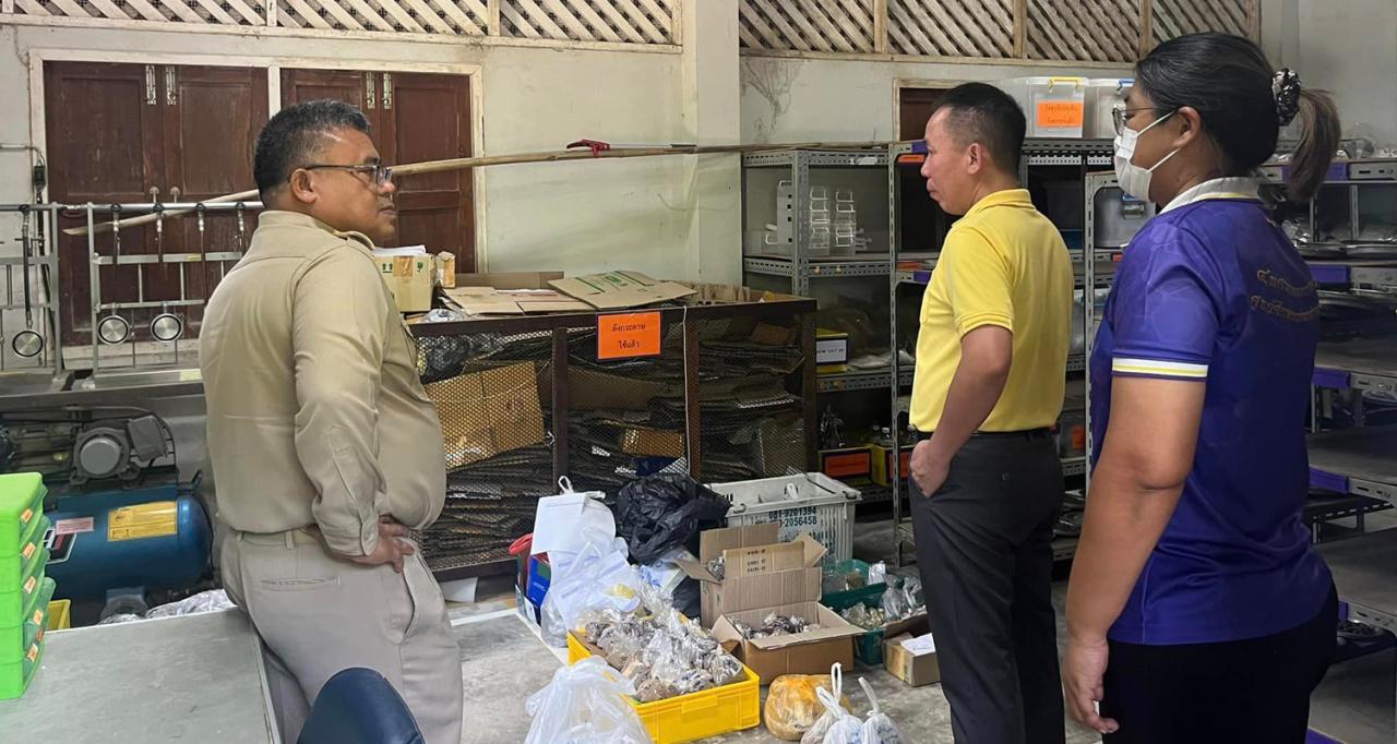 ภาพประกอบที่ 9