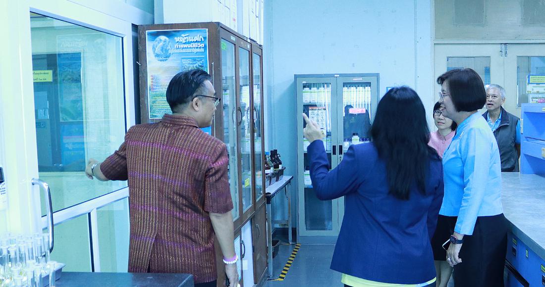 ภาพประกอบที่ 5