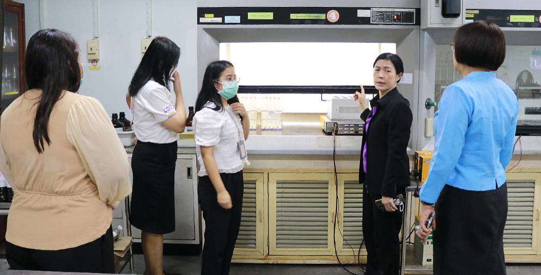 ภาพประกอบที่ 5