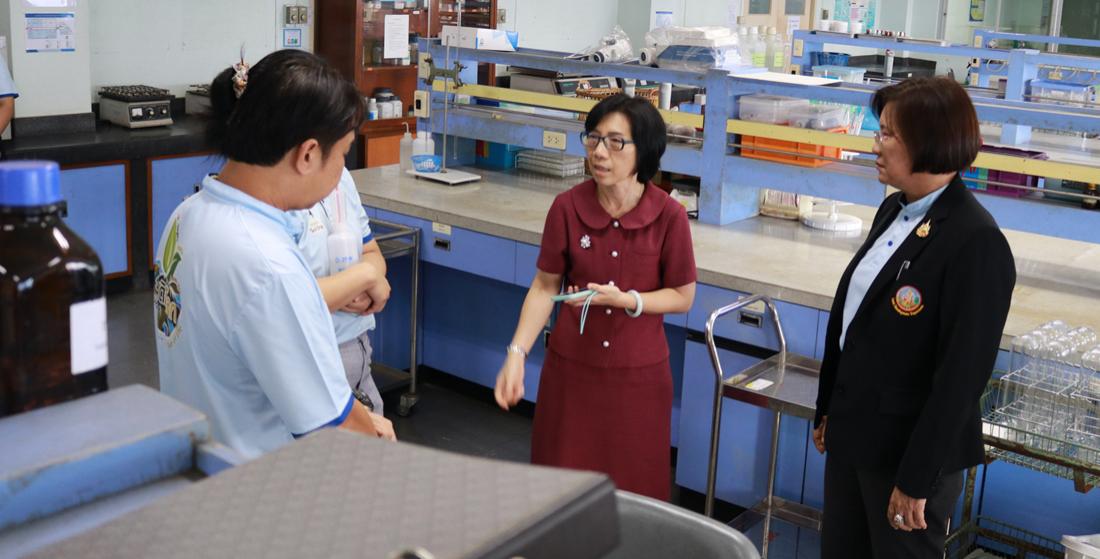 ภาพประกอบที่ 8