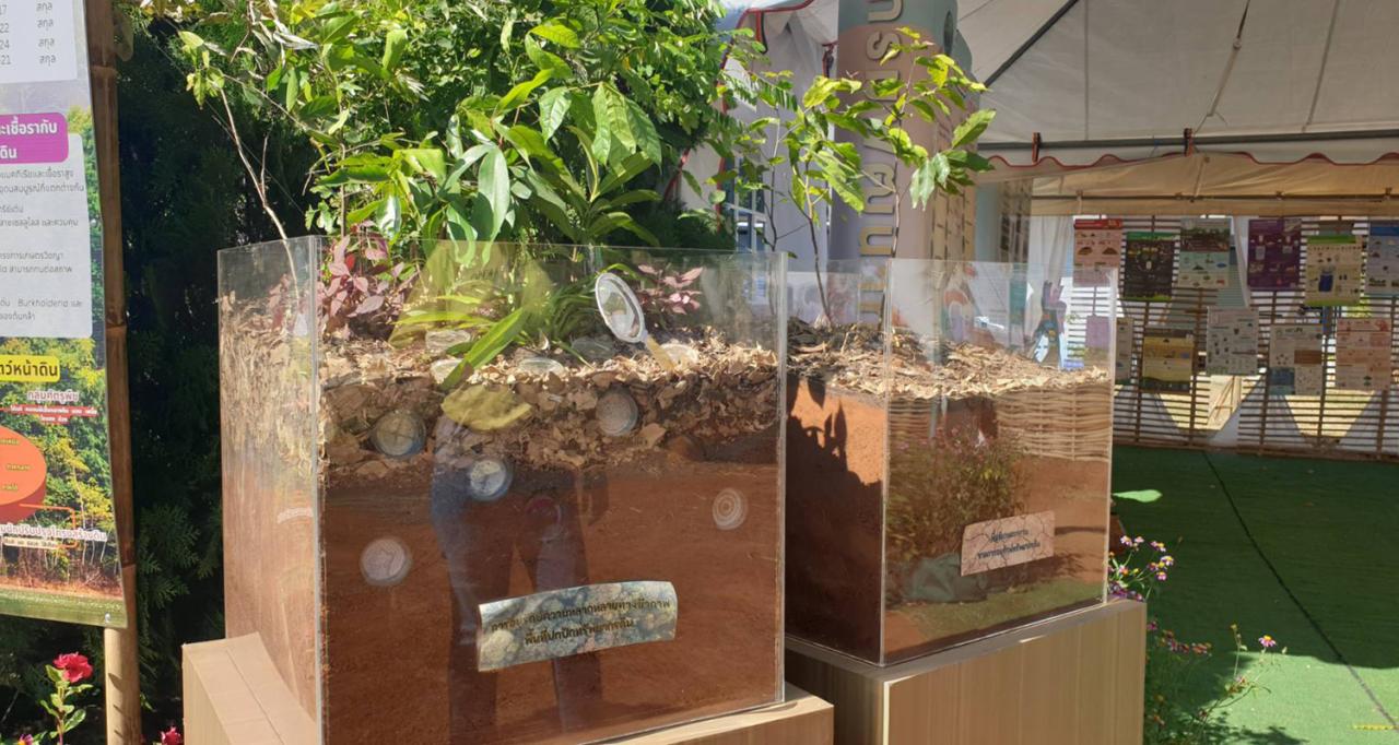 ภาพประกอบที่ 2