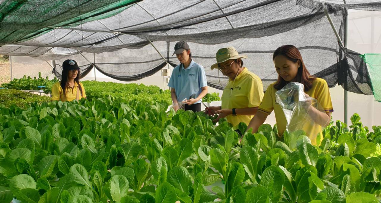 ภาพประกอบที่ 3