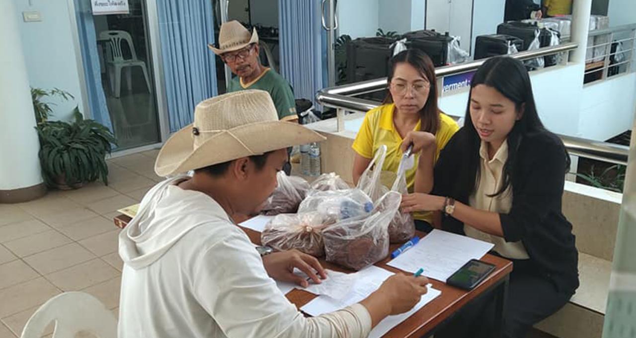 ภาพประกอบที่ 1