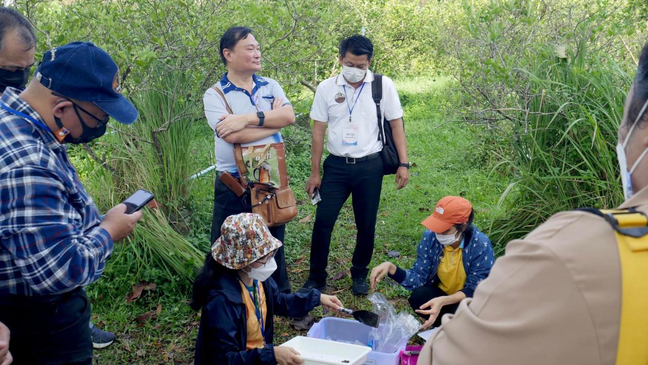 ภาพประกอบที่ 11