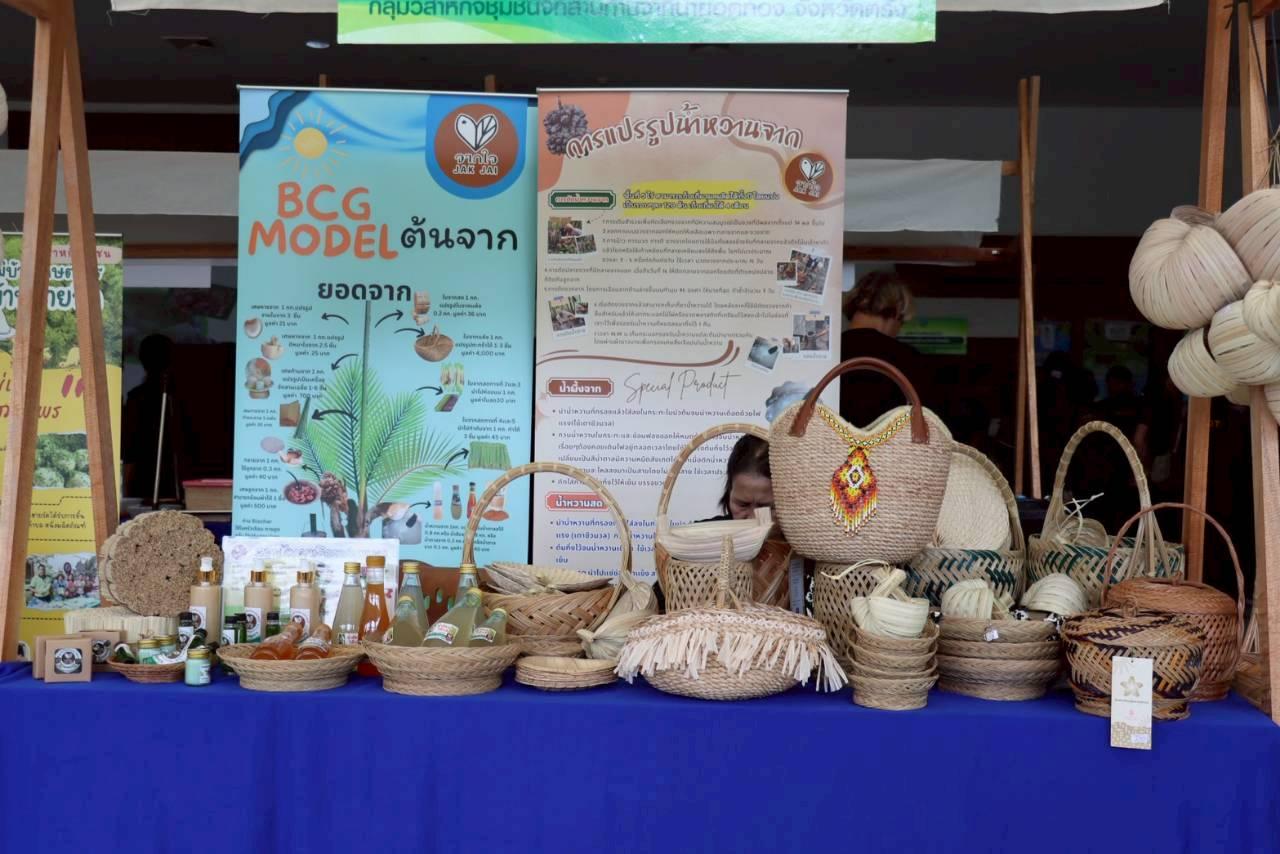 ภาพประกอบที่ 13